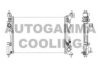 AUTOGAMMA 105624 Radiator, engine cooling